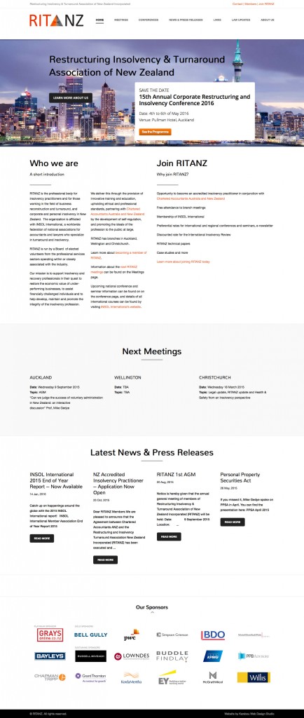 RITANZ website design