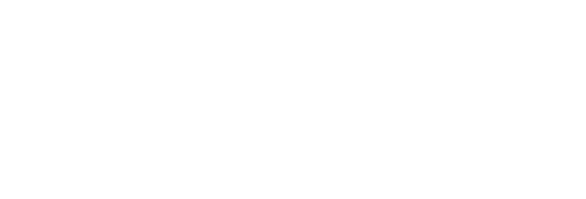 Wordpress Logo