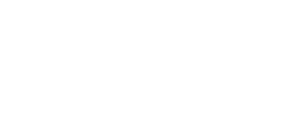 klaviyo partner