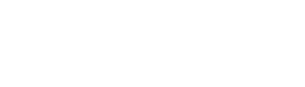 shopify partner